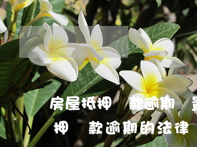 房屋抵押貸款逾期處置(關(guān)于抵押貸款逾期的法律)