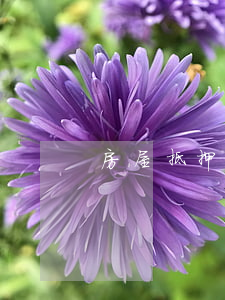 房屋抵押農(nóng)行貸款逾期