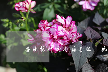 房屋抵押逾期后怎么辦 抵押逾期怎么處理