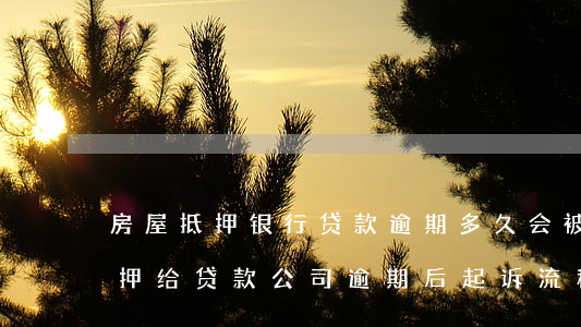 房屋抵押银行贷款逾期多久会被起诉(房屋抵押给贷款公司逾期后起诉流程要多久)