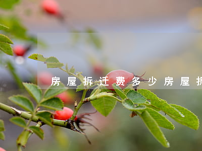房屋拆迁费多少(房屋拆迁费多少)