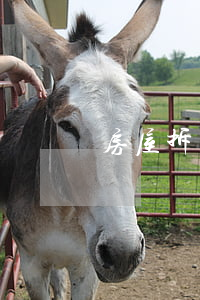 房屋拆遷一般補(bǔ)償多少