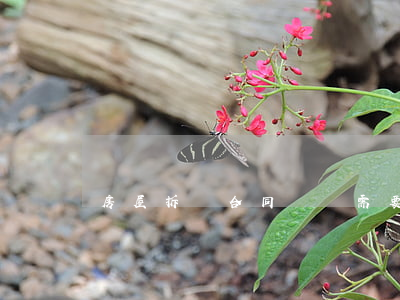 房屋拆遷合同簽訂需要注意什么