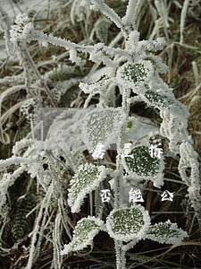 房屋拆遷補(bǔ)償安置明細(xì)是否能公開(kāi)