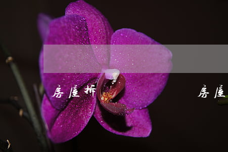 房屋拆遷補償費標準(房屋拆遷一般補償多少)