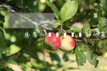 房屋拆遷賠償糾紛如何有效處理