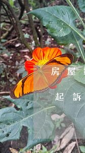 房屋拆遷逾期未交房怎么起訴(逾期交房民事起訴狀)