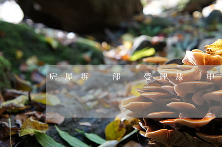 房屋拆遷部門受理裁決申請前要聽證嗎