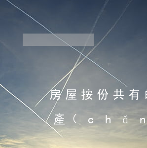 房屋按份共有的法律法規(guī)(房屋產(chǎn)權(quán)分割需要依據(jù)的法律法規(guī)有哪些有哪幾)
