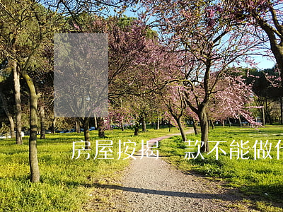 房屋按揭貸款不能做什么