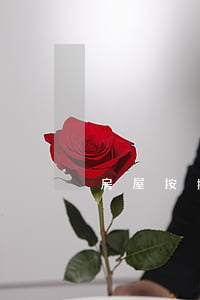 房屋按揭貸款逾期一次(房貸有一次逾期)