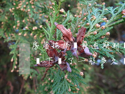 房屋按揭貸款逾期判決書(房貸逾期法院判決書下來了,一般多久還款)
