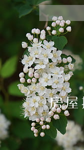 房屋按揭貸款逾期審批(按揭貸款逾期怎么辦)