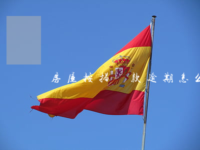 房屋按揭貸款逾期怎么辦(房貸逾期咋辦)