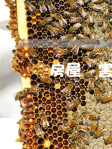 房屋損害賠償評(píng)估方法