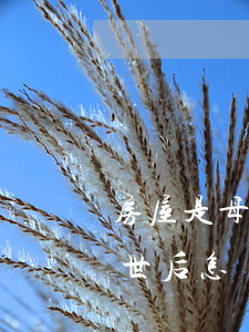 房屋是母親的名怎么繼承(母親名下的房子去世后怎樣繼承)