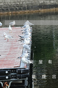 房屋有爭議不能確權怎么辦(房屋確權之后還能提出爭議嗎)