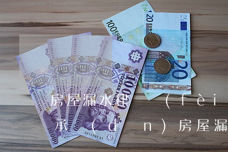 房屋漏水律師費(fèi)誰(shuí)承擔(dān)(房屋漏水請(qǐng)律師多少錢)