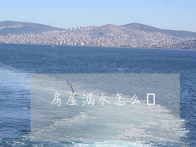 房屋漏水怎么辦