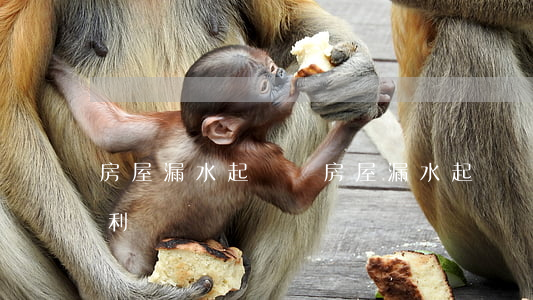 房屋漏水起訴書(房屋漏水起訴書怎么索賠有利)