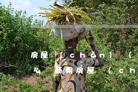 房屋產(chǎn)權(quán)到期怎么辦(商用房屋產(chǎn)權(quán)到期怎么辦)