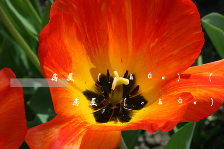 房屋產(chǎn)權(quán)年限(中國房屋產(chǎn)權(quán)年限)