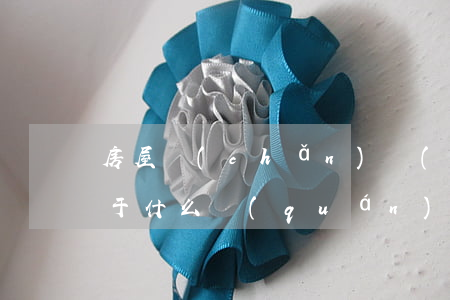 房屋產(chǎn)權(quán)糾紛屬于什么權(quán)利(房屋產(chǎn)權(quán)糾紛是屬于什么權(quán)利)