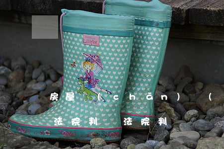 房屋產(chǎn)權(quán)證逾期法院判決(法院判決開發(fā)商辦理房產(chǎn)證判決書)