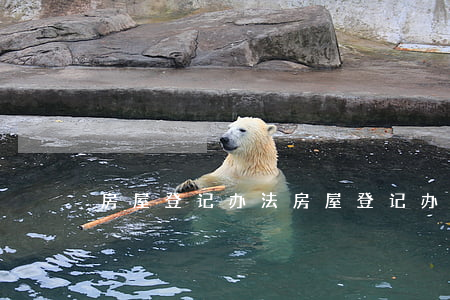 房屋登记办法(房屋登记办法第三十三条)