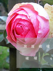 房屋確權(quán)之訴起訴狀范本(房屋確權(quán)協(xié)議書范本)