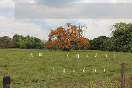 房屋確權(quán)訴訟請求怎么寫(房屋確權(quán)訴訟請求怎么寫)