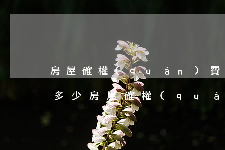 房屋確權(quán)費(fèi)用需要多少(房屋確權(quán)糾紛訴訟費(fèi)怎么計(jì)算)
