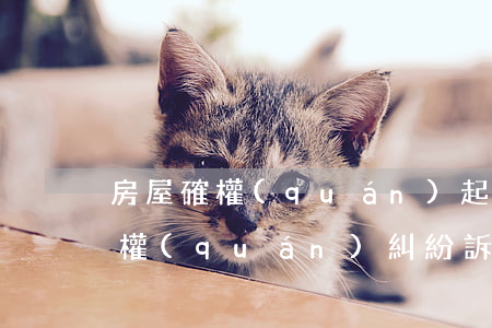 房屋確權(quán)起訴書怎么寫(房屋確權(quán)糾紛訴訟請(qǐng)求應(yīng)該怎么寫)