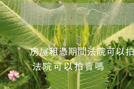 房屋租憑期間法院可以拍賣嗎(房屋租憑期間法院可以拍賣嗎)