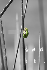 房屋租賃協(xié)議書(房屋租賃協(xié)議書的拼音)