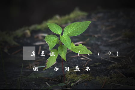房屋租賃協(xié)議范本(2022房屋租賃合同范本)