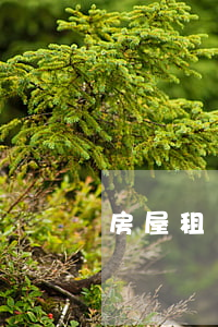 房屋租賃協議范本，房屋租賃合同范本簡單版