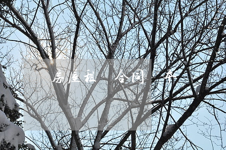 房屋租賃合同樣本