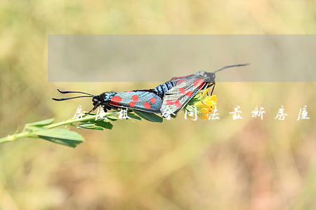 房屋租賃合同法(最新房屋租賃合同法)