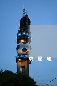 房屋租賃合同簡(jiǎn)單模板
