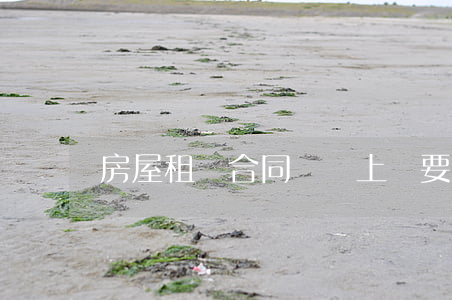 房屋租賃合同糾紛上訴要多久