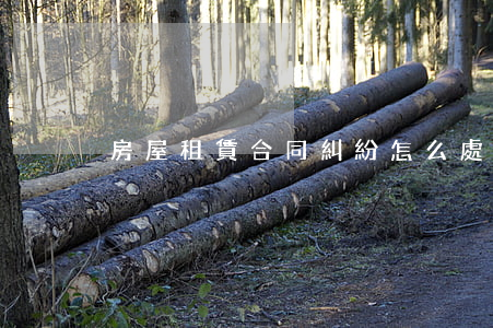 房屋租賃合同糾紛怎么處理