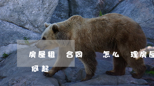 房屋租賃合同糾紛怎么處理(房屋租賃糾紛如何起訴)