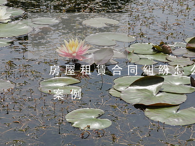 房屋租賃合同糾紛怎么辦？看看下面的典型案例