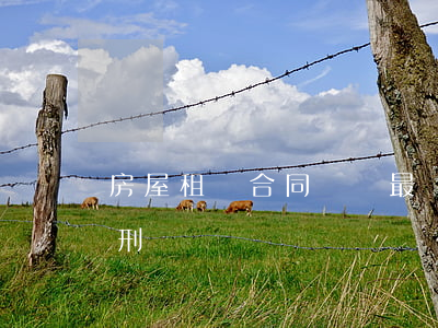 房屋租賃合同糾紛最嚴(yán)重怎么判刑