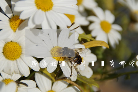 房屋租賃合同糾紛有哪些