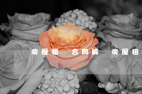 房屋租賃合同解釋(房屋租賃合同解釋第24條)