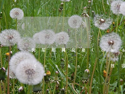 房屋租賃房產(chǎn)稅(房屋租賃房產(chǎn)稅包括增值稅部分嗎)