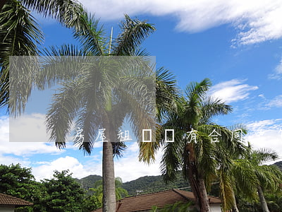 房屋租賃沒有合同要怎么維權(quán)