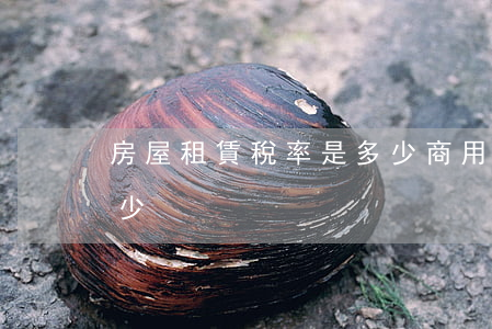 房屋租賃稅率是多少(商用房屋租賃稅率是多少)